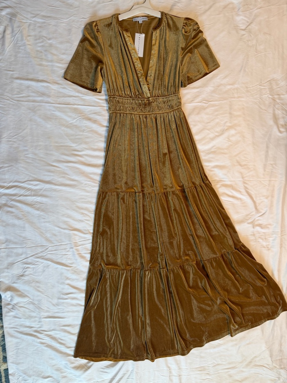 Baltic Born Velvet Tiered Maxi Dress